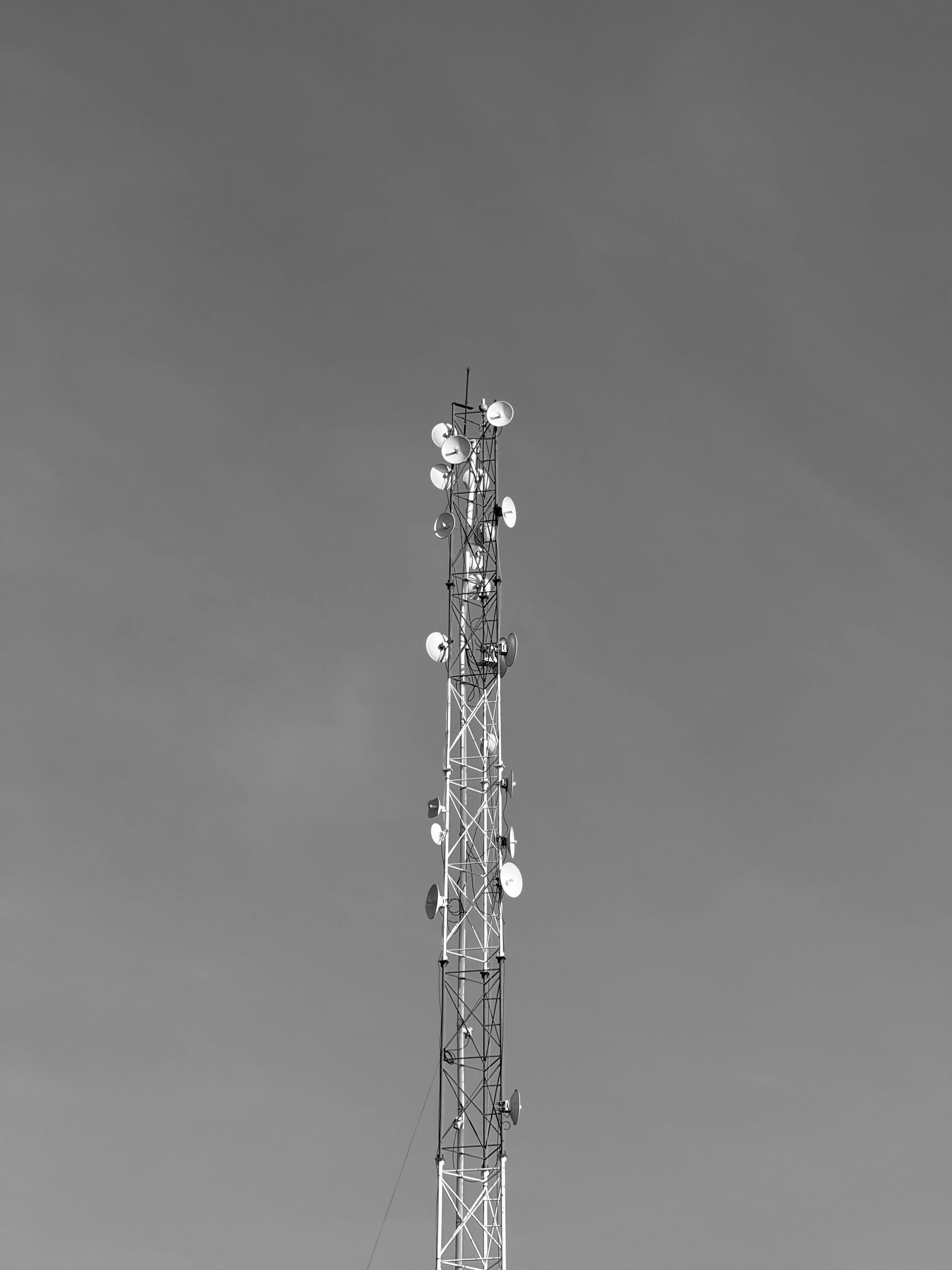 bild-4.jpg